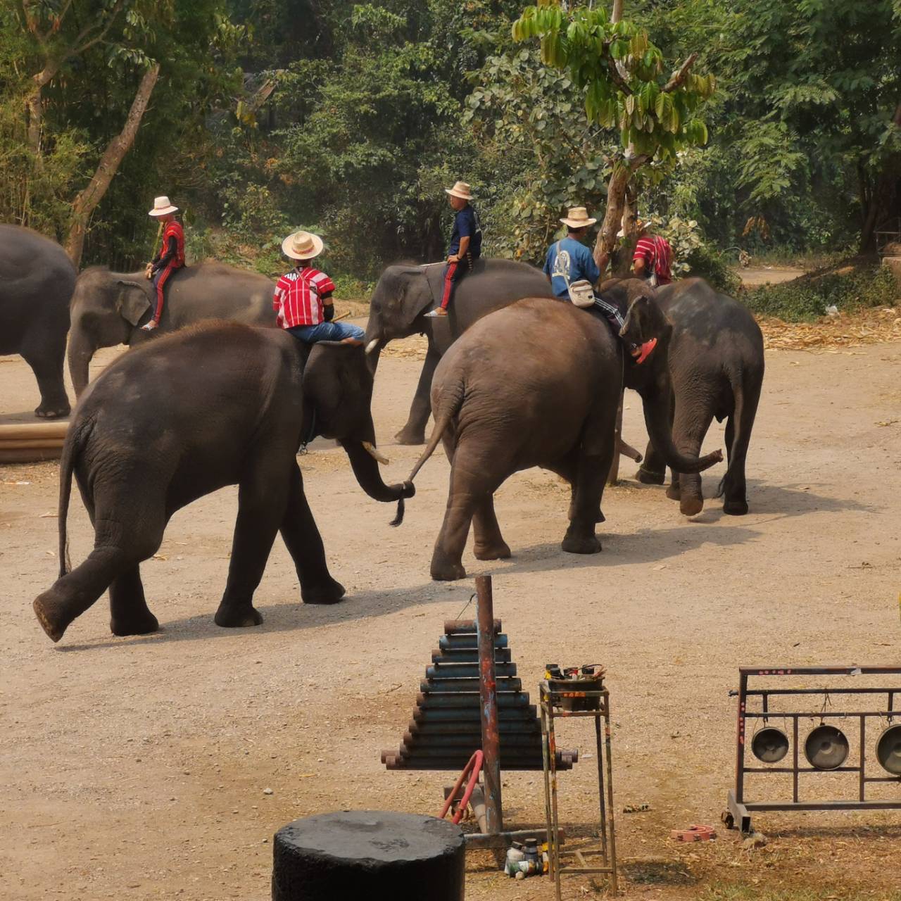 Activities - Sibsan Resort & Spa Maetaeng Chiangmai