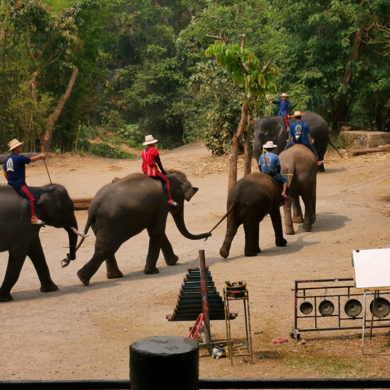 Activities - Sibsan Resort & Spa Maetaeng Chiangmai